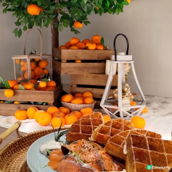 ## 九龍灣必去韓式Cafe🔥超大型柑橘樹打卡超靚💜