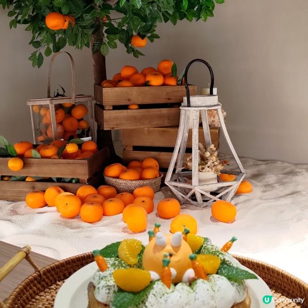 ## 九龍灣必去韓式Cafe🔥超大型柑橘樹打卡超靚💜