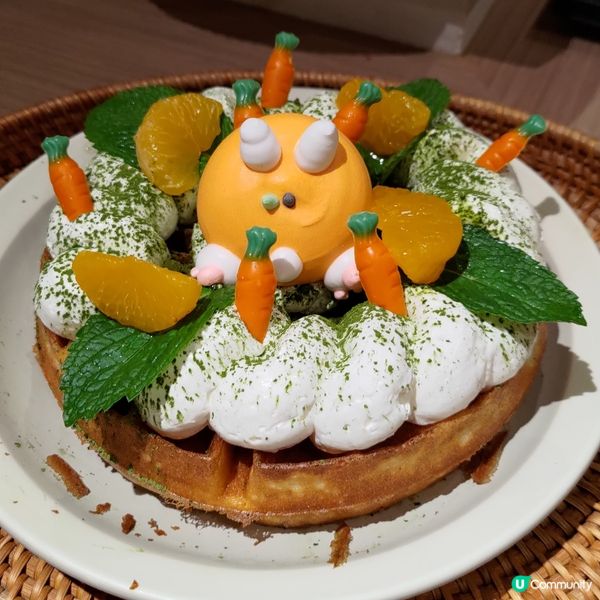 ## 九龍灣必去韓式Cafe🔥超大型柑橘樹打卡超靚💜