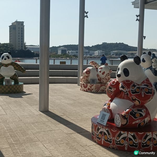 同心熊貓海濱遊