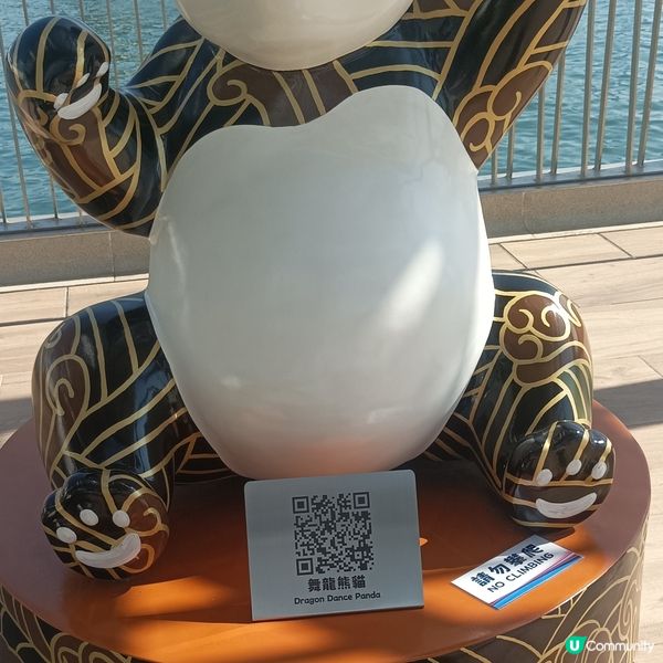 同心熊貓海濱遊