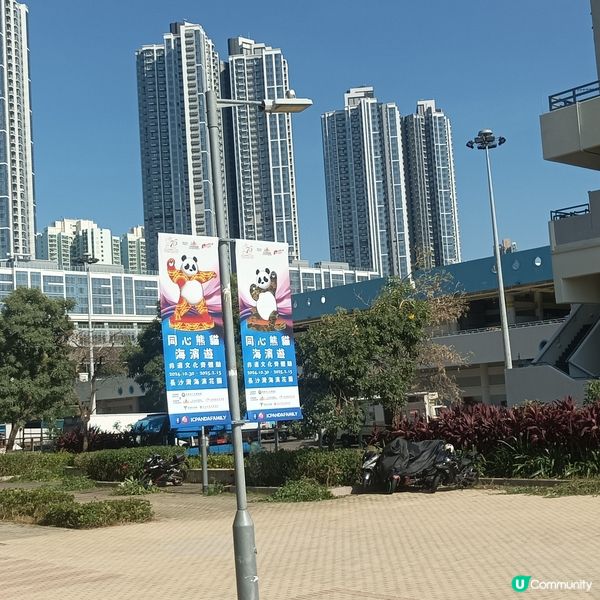 同心熊貓海濱遊