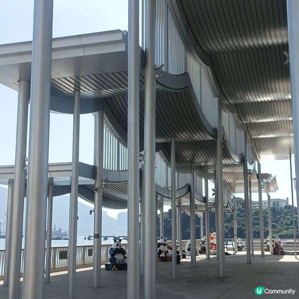 同心熊貓海濱遊