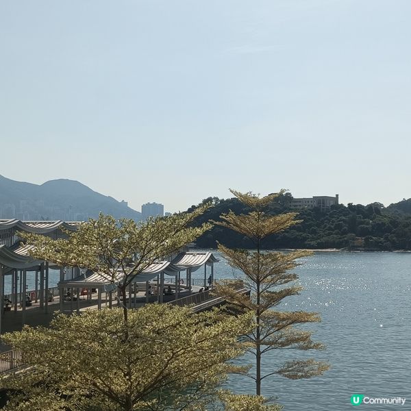 同心熊貓海濱遊