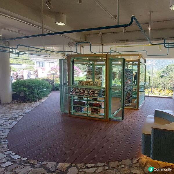 昂坪纜車🚡  香港必去景點！🤩