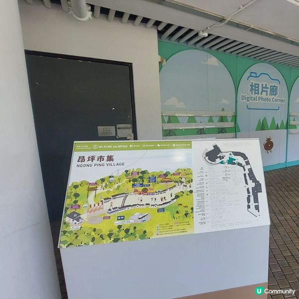 昂坪纜車🚡  香港必去景點！🤩