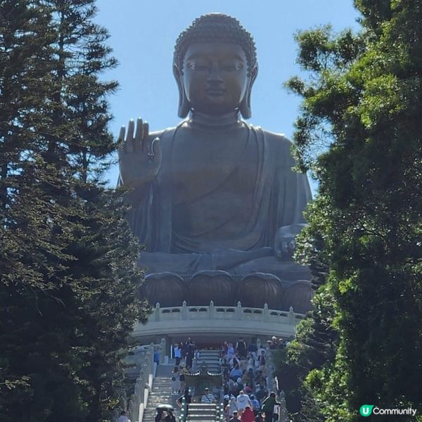 天壇大佛打卡📸 親子郊遊好去處 👪