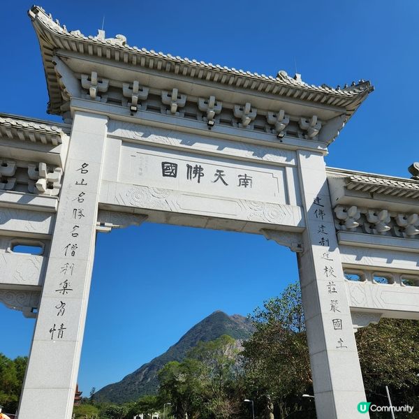 天壇大佛打卡📸 親子郊遊好去處 👪