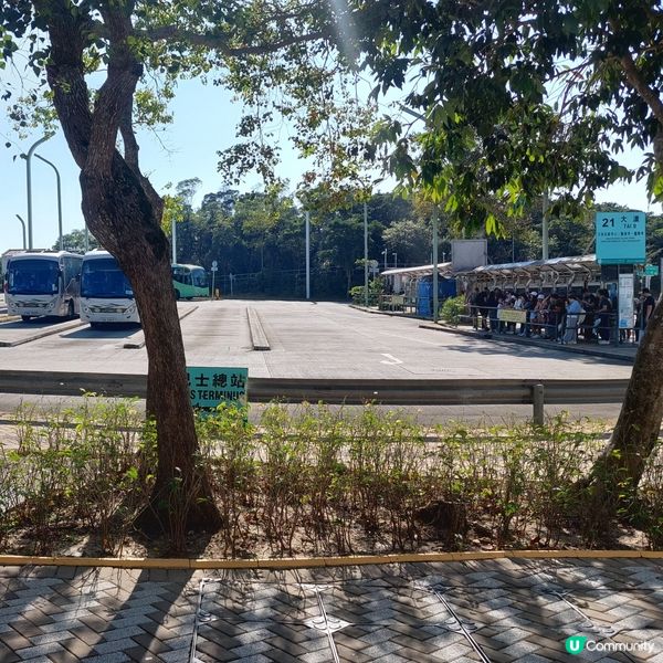 天壇大佛打卡📸 親子郊遊好去處 👪