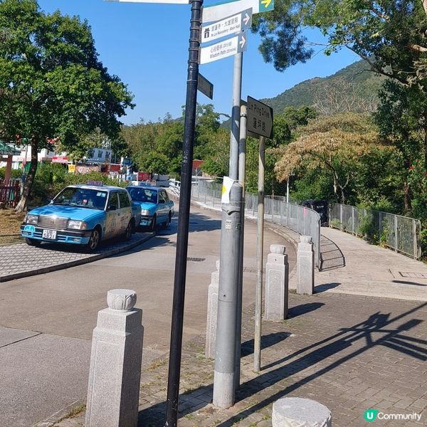 天壇大佛打卡📸 親子郊遊好去處 👪