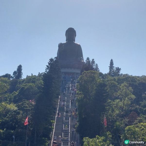 天壇大佛打卡📸 親子郊遊好去處 👪