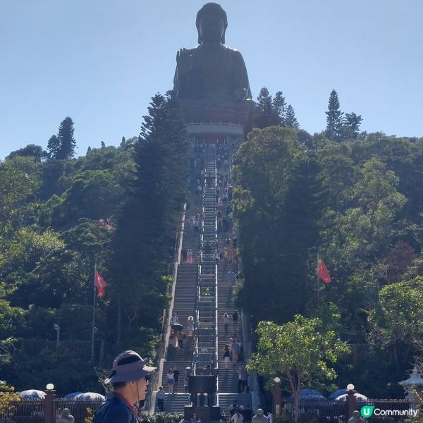 天壇大佛打卡📸 親子郊遊好去處 👪