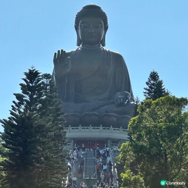 天壇大佛打卡📸 親子郊遊好去處 👪