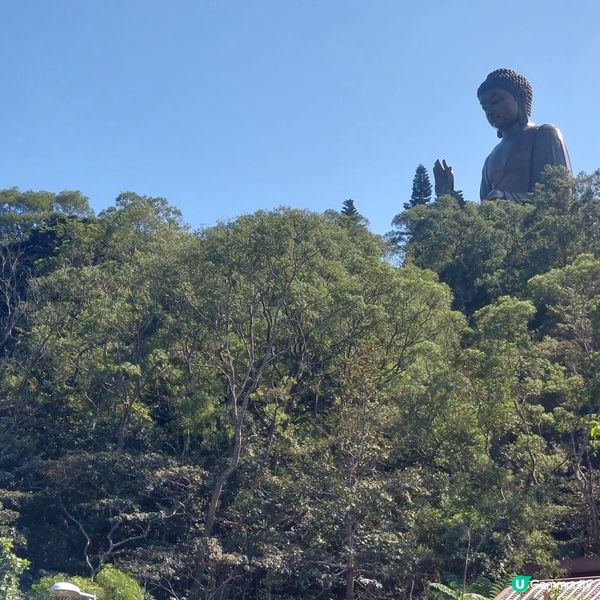 天壇大佛打卡📸 親子郊遊好去處 👪