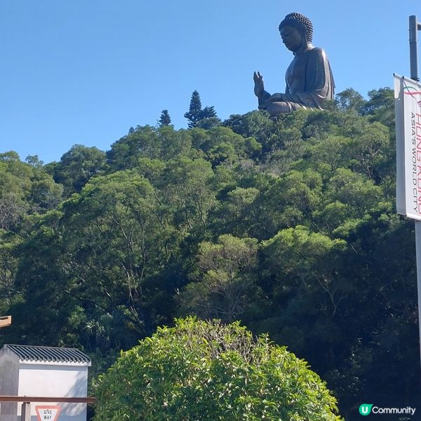 天壇大佛打卡📸 親子郊遊好去處 👪