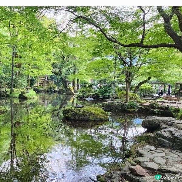 🐿️ 坐纜車登山再入「松鼠村」😍超可愛‼️🤩🤩