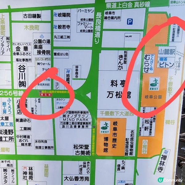 🐿️ 坐纜車登山再入「松鼠村」😍超可愛‼️🤩🤩