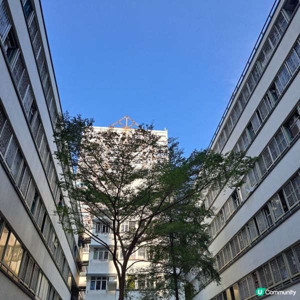 #柴灣二級歷史建築--柴灣工廠邨大厦