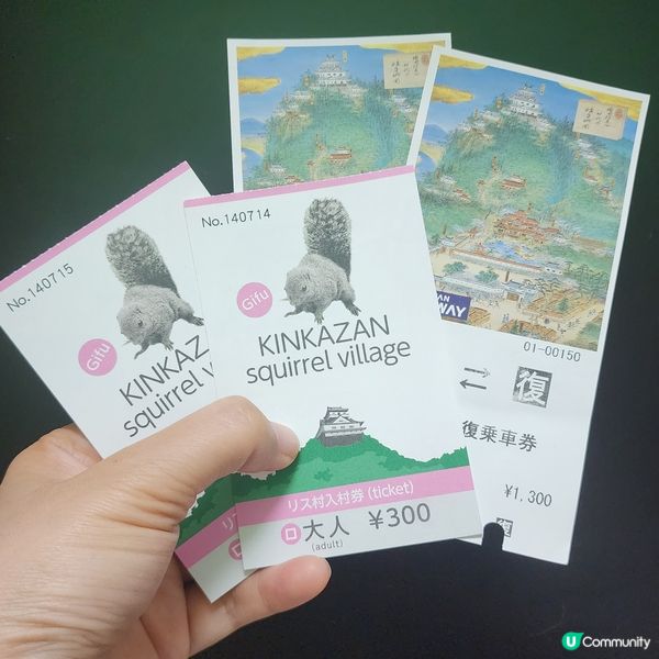 🐿️ 坐纜車登山再入「松鼠村」😍超可愛‼️🤩🤩