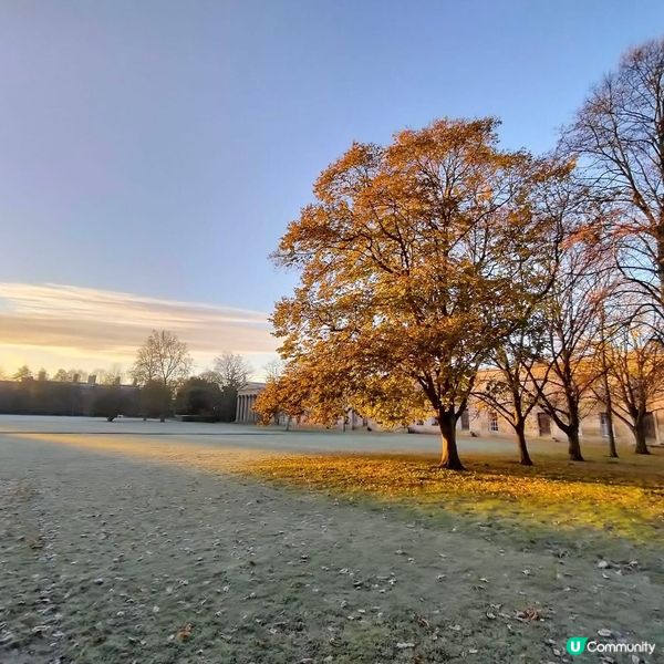 日本🇯🇵之行