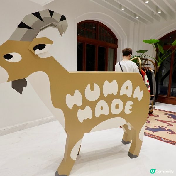 淺水灣朝聖之旅 💖