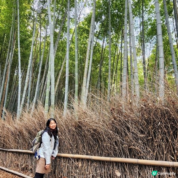 💥京都嵐山新玩法⁉️🤯兩大展望台靚景超美‼️🤩