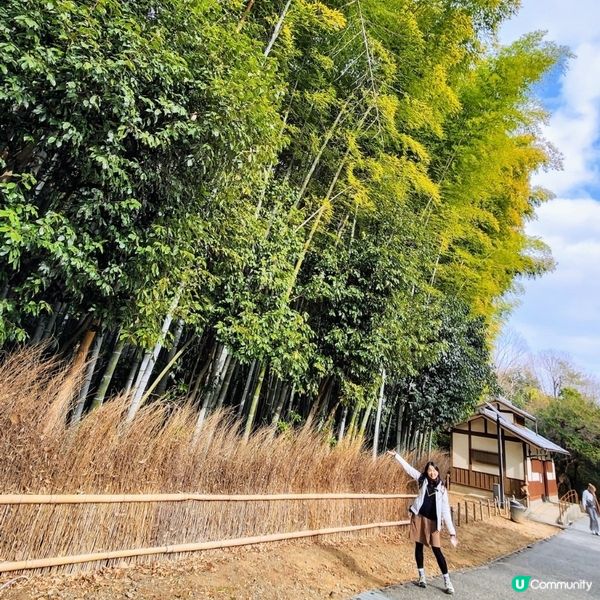 💥京都嵐山新玩法⁉️🤯兩大展望台靚景超美‼️🤩