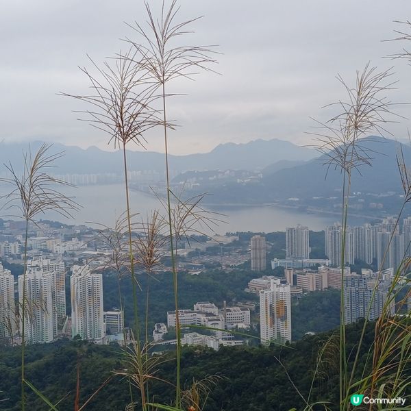 大埔頭 上九龍坑山
