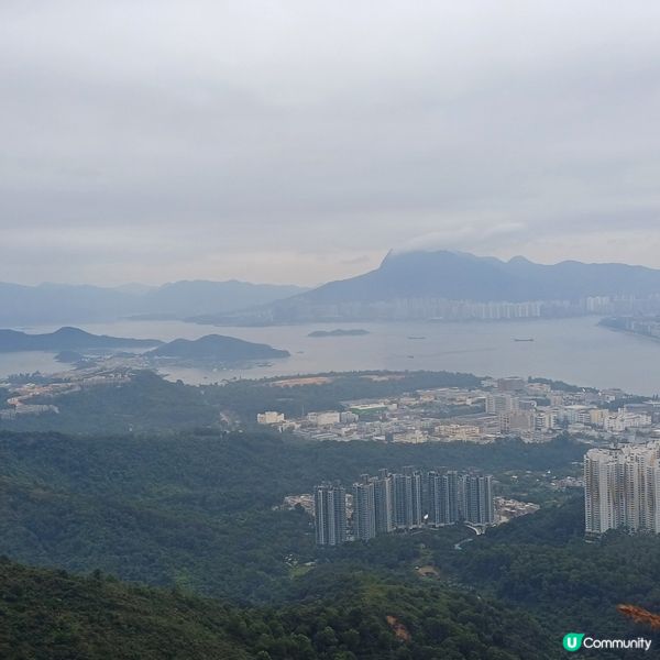 大埔頭 上九龍坑山