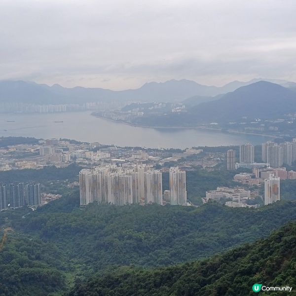 大埔頭 上九龍坑山