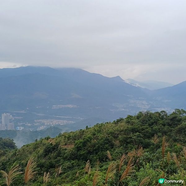 大埔頭 上九龍坑山