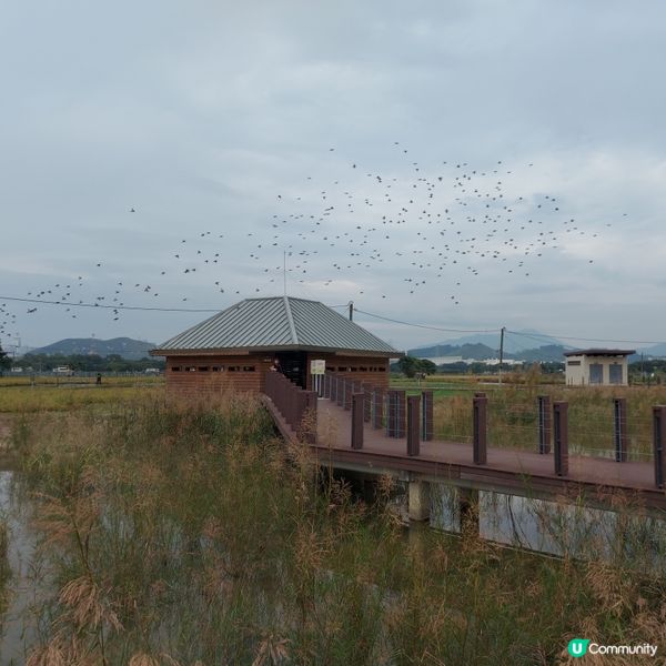 塱原自然生態公園