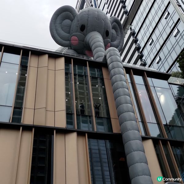 ## 深圳打卡必去🐘萬象天地巨型大象超靚🤩💜