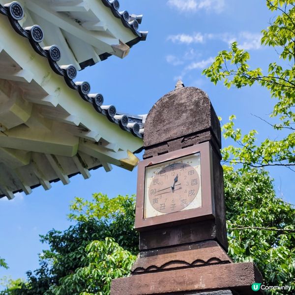 💥登頂覽美景💥 居高臨下城跡 🏯 🤩