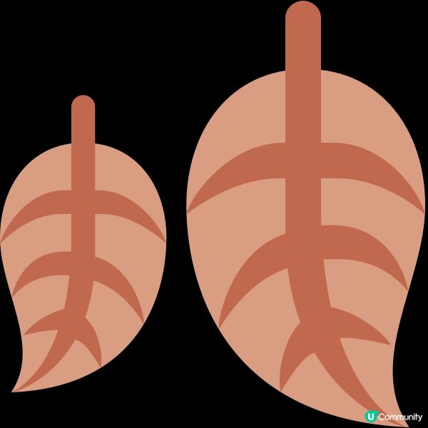 【中醫時令養生】 入秋養生攻略