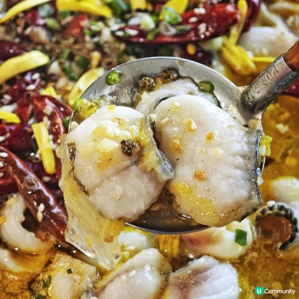 抵食💰川式🌶️江湖菜