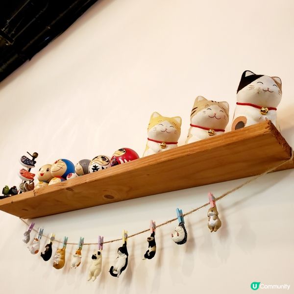 值得等又親民又高質的小店［小島料理］🍽
