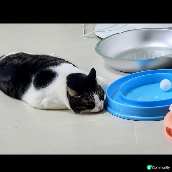 😅😅說好的打風陪我玩嘅... ...