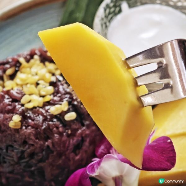 多重🎉優惠😋滋味🇹🇭泰國菜