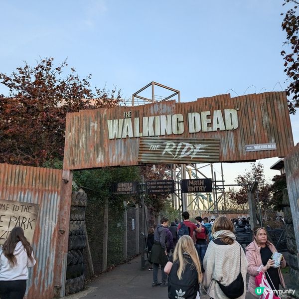 🐤五大必玩遊樂設施排名！CP值第一位實至名歸！