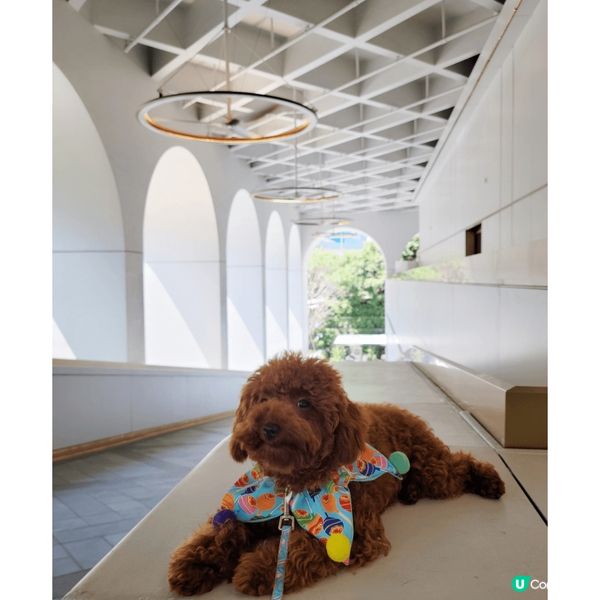 The Murray Hong Kong呢個打卡位咁靚，酒店...