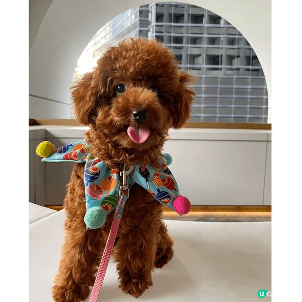 The Murray Hong Kong呢個打卡位咁靚，酒店...