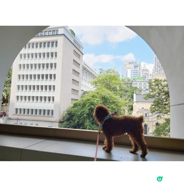 The Murray Hong Kong呢個打卡位咁靚，酒店...