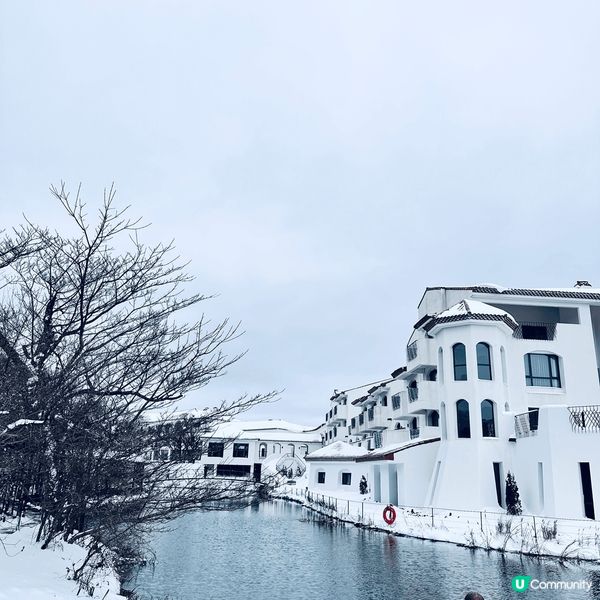 濟洲之旅 第一次看到雪 周圍的行道 咖啡店都很漂亮 讓我暫時...