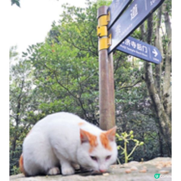 香港首航舟山隨團直擊 佛教名山 普陀山 朝拜 南海觀音