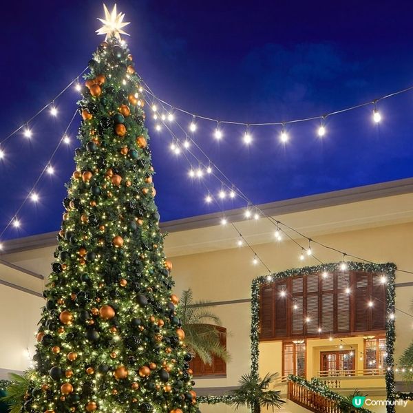 淺水灣影灣園聖誕下午茶