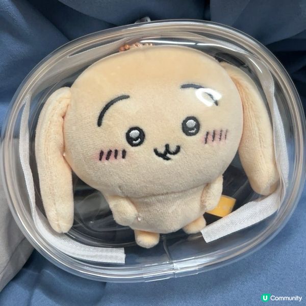 Chiikawa - 又小又可愛的傢伙 Usagi