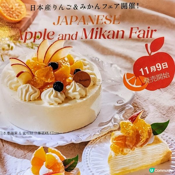 💥期間限定💥日本直送「蜜柑」制蛋糕登場🍊超好味‼️