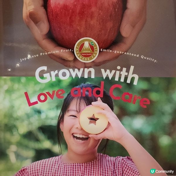 💥期間限定💥日本直送「蜜柑」制蛋糕登場🍊超好味‼️