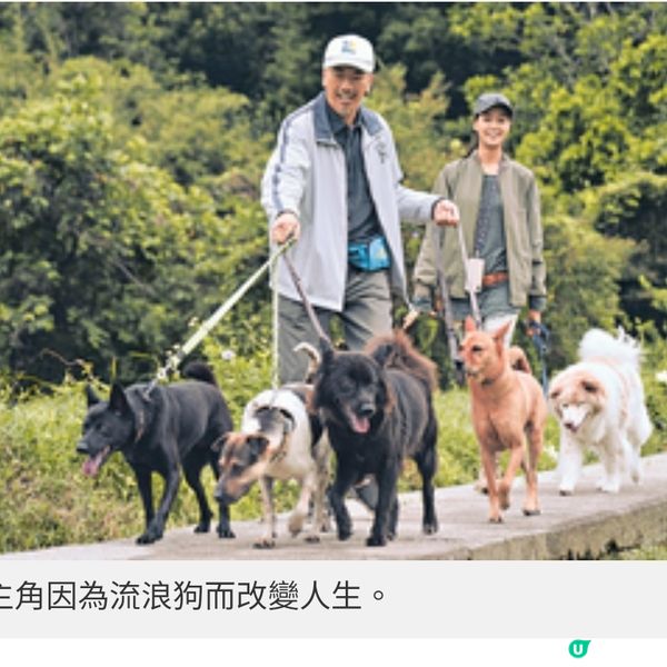 《得寵先生》人狗情未了